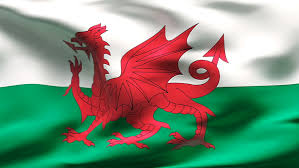 wales sex category