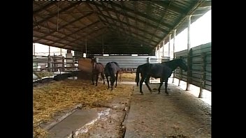 Kelly Stafford Having An Anal Spitroast In The Stables